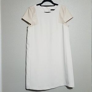 ZARA Color Block Shift Dress